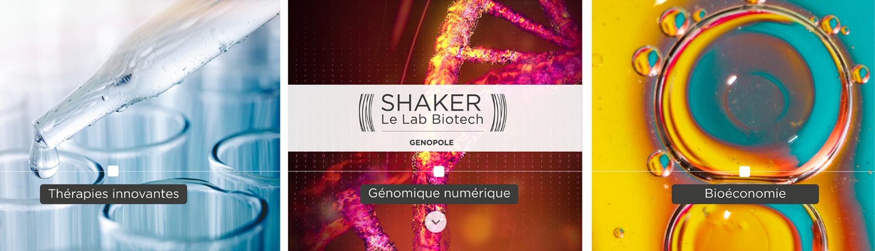 Appel à candidatures Shaker&nbsp;: de l&rsquo;idée à la startup innovante&nbsp;!